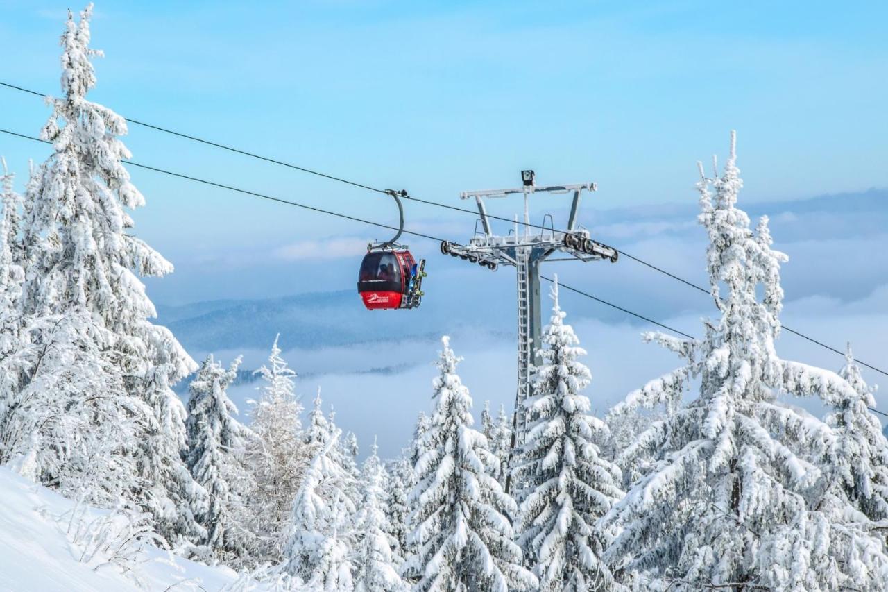 Bukova Lodge Bukowina Tatrzańska Esterno foto